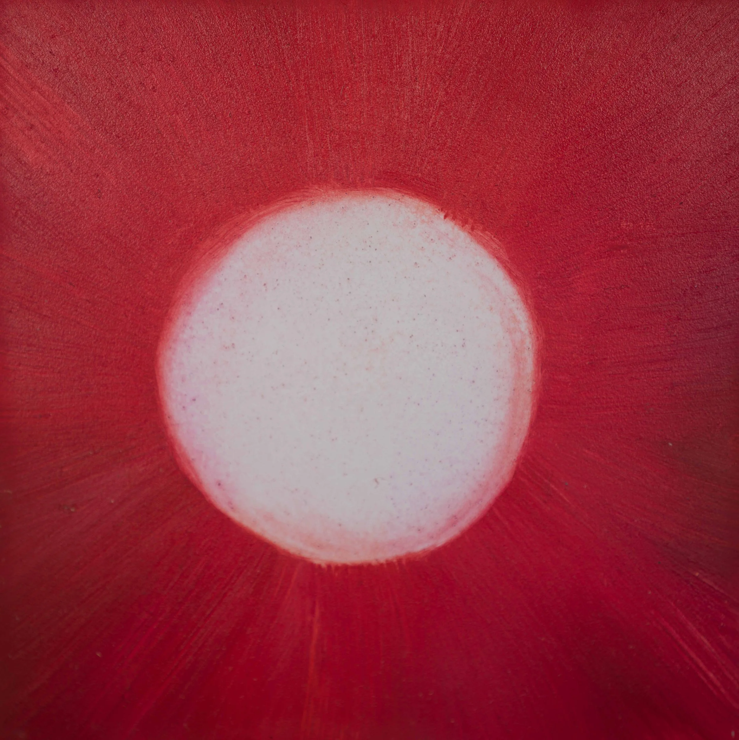 2022_Coronal Bloom_5x5_small.jpg