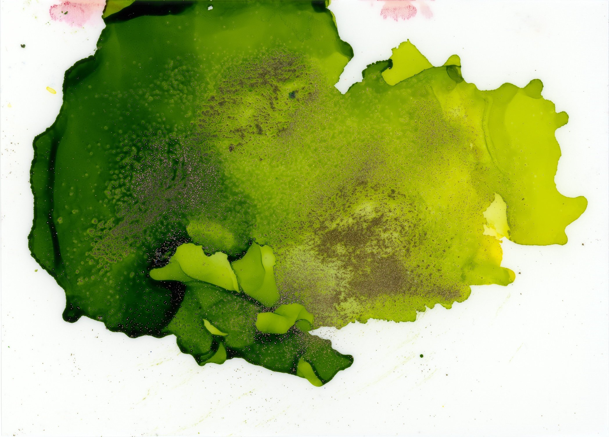 Sunlit Spores - Prints