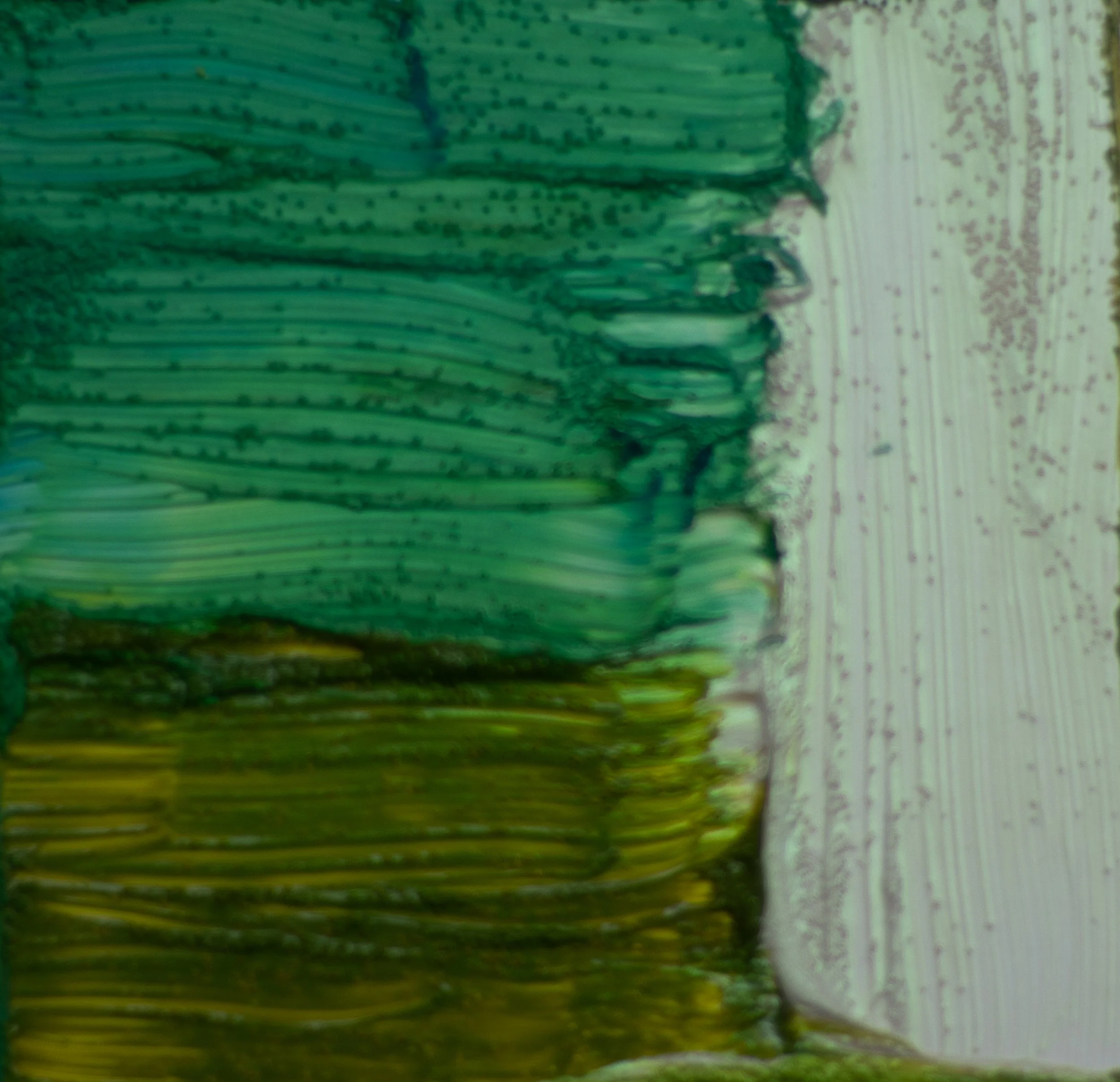 2025_Growth Pattern_Acrylic_4x4.jpg