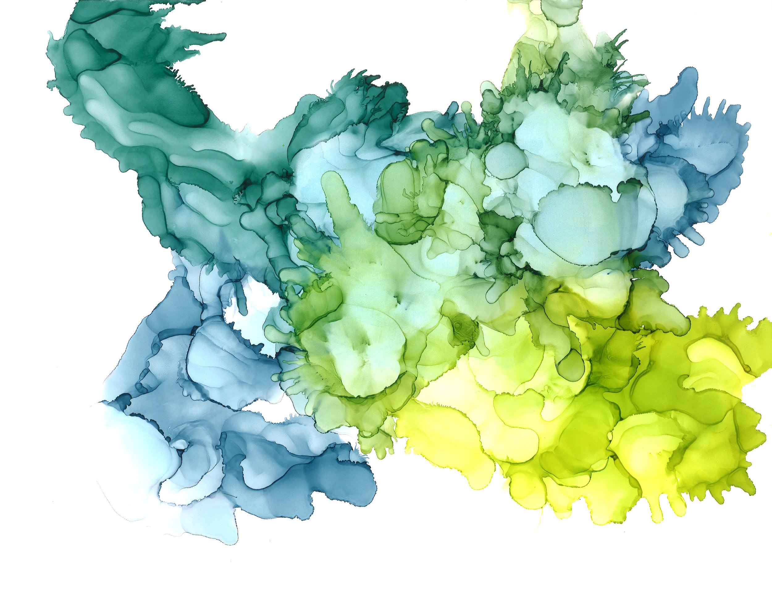 AI81_11x14_Aqueous Spring_small.jpg