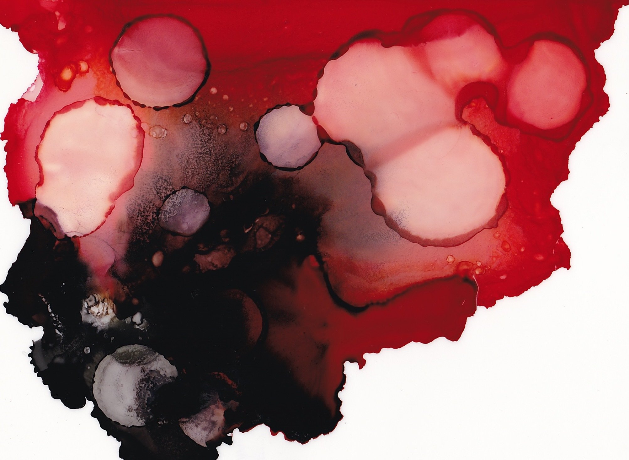 Scarlet Rift