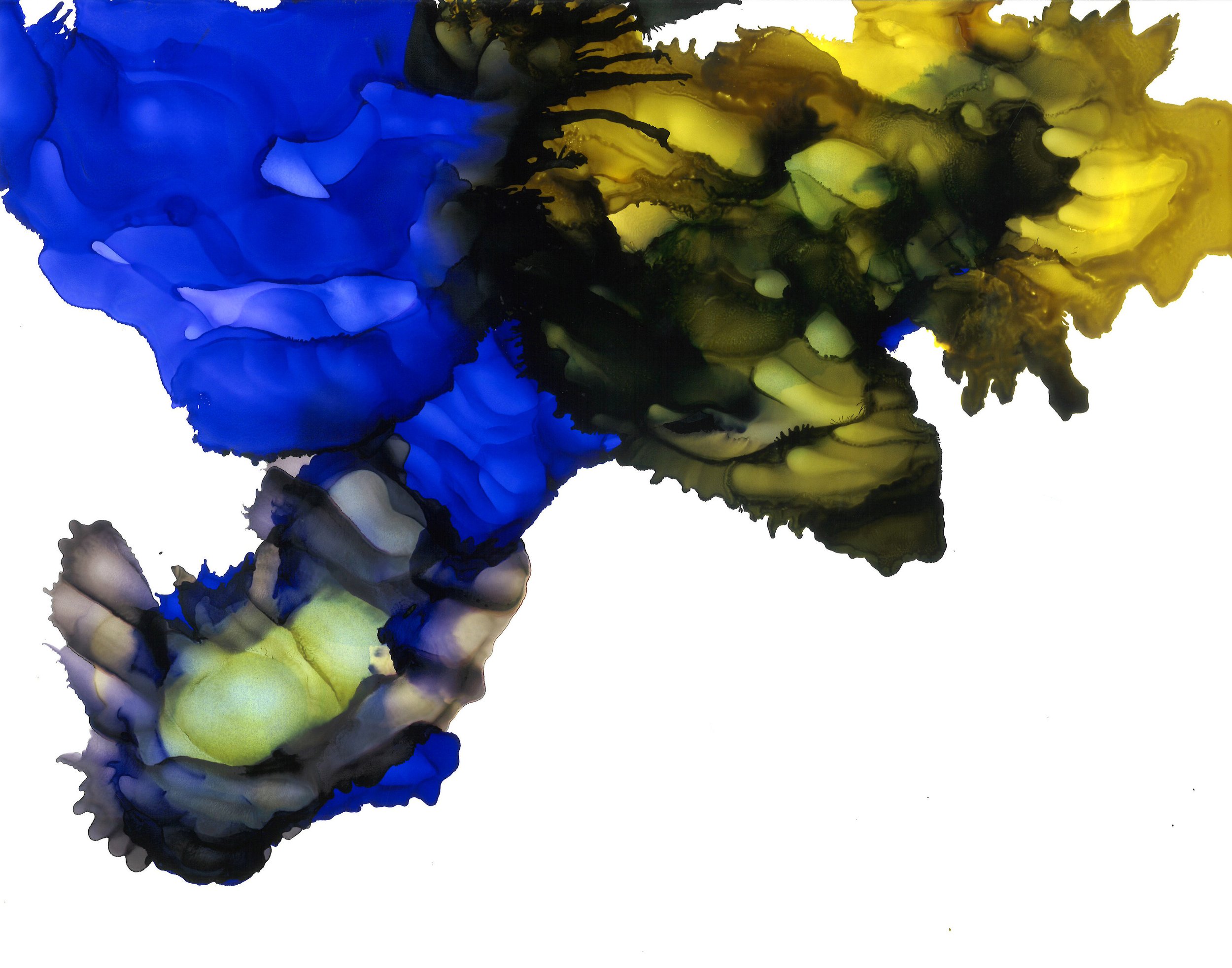 AI76_11x14_Cobalt Mantle_small.jpg