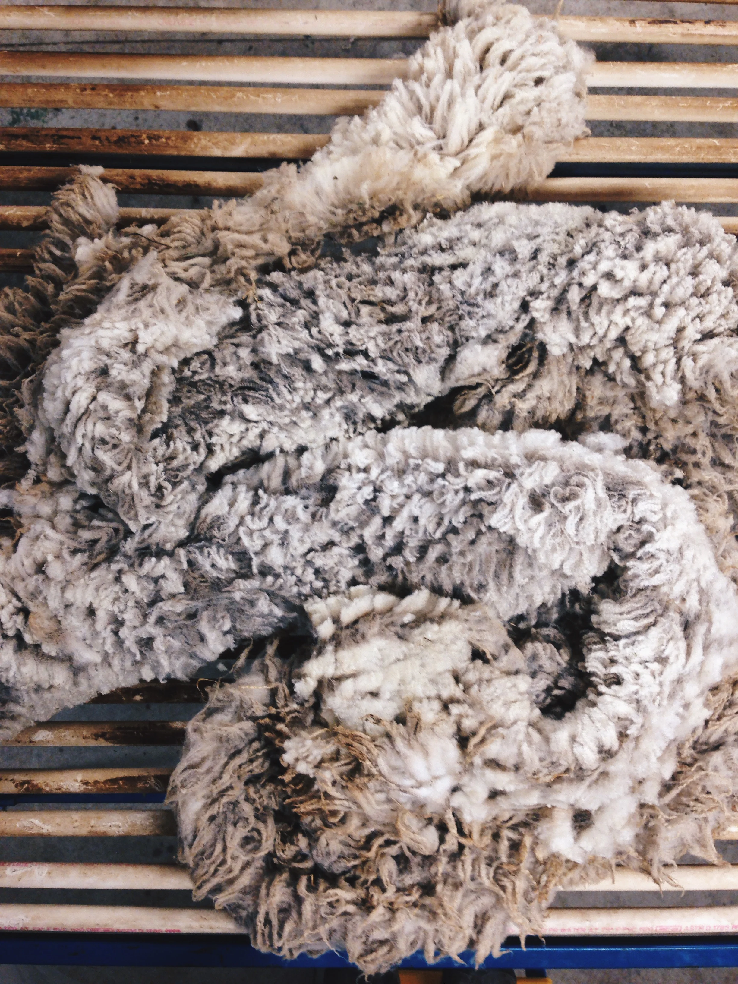 Fiber Processing 101 