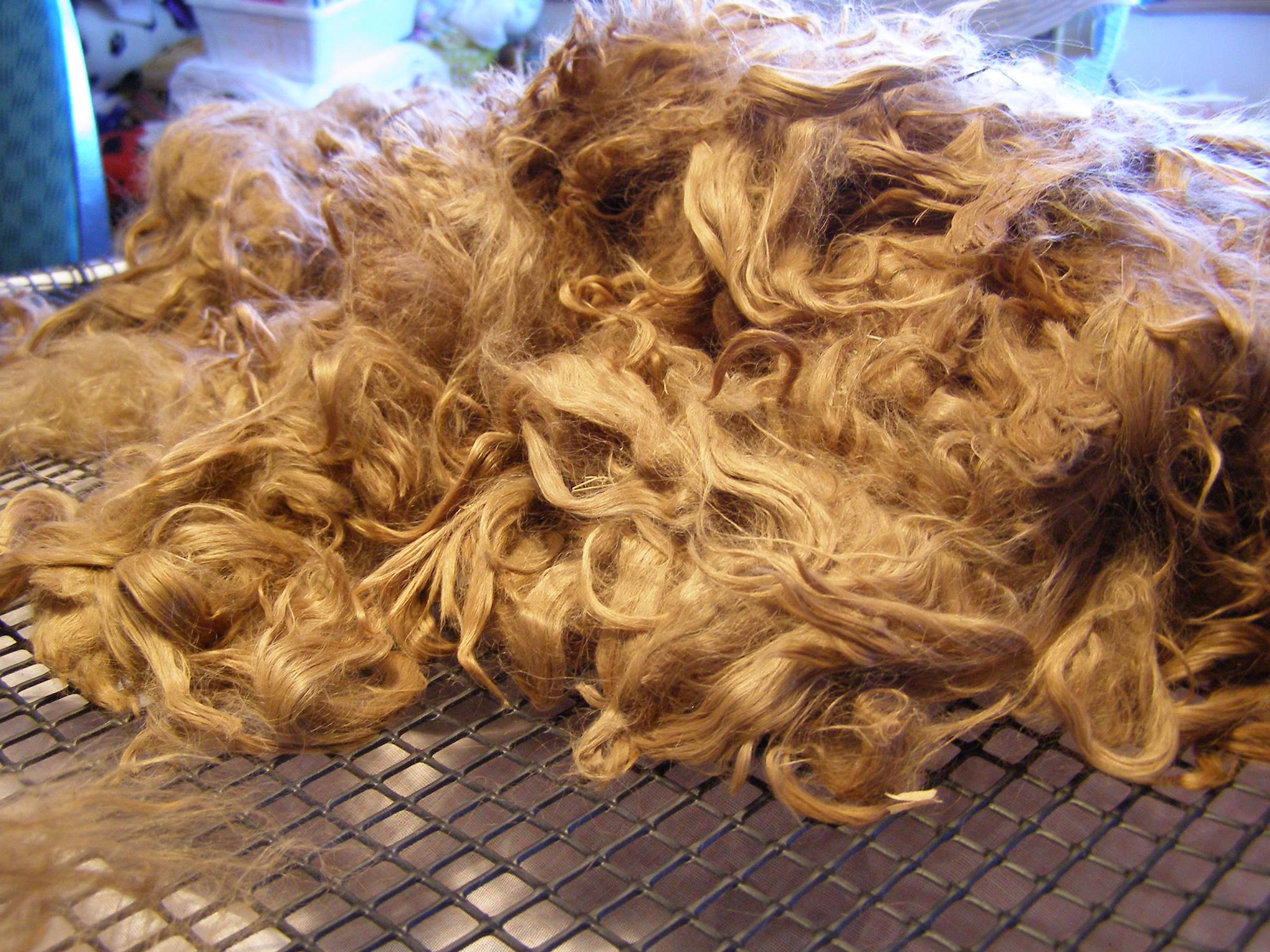 Alpaca Fleece Preparation &amp; Mill Tour