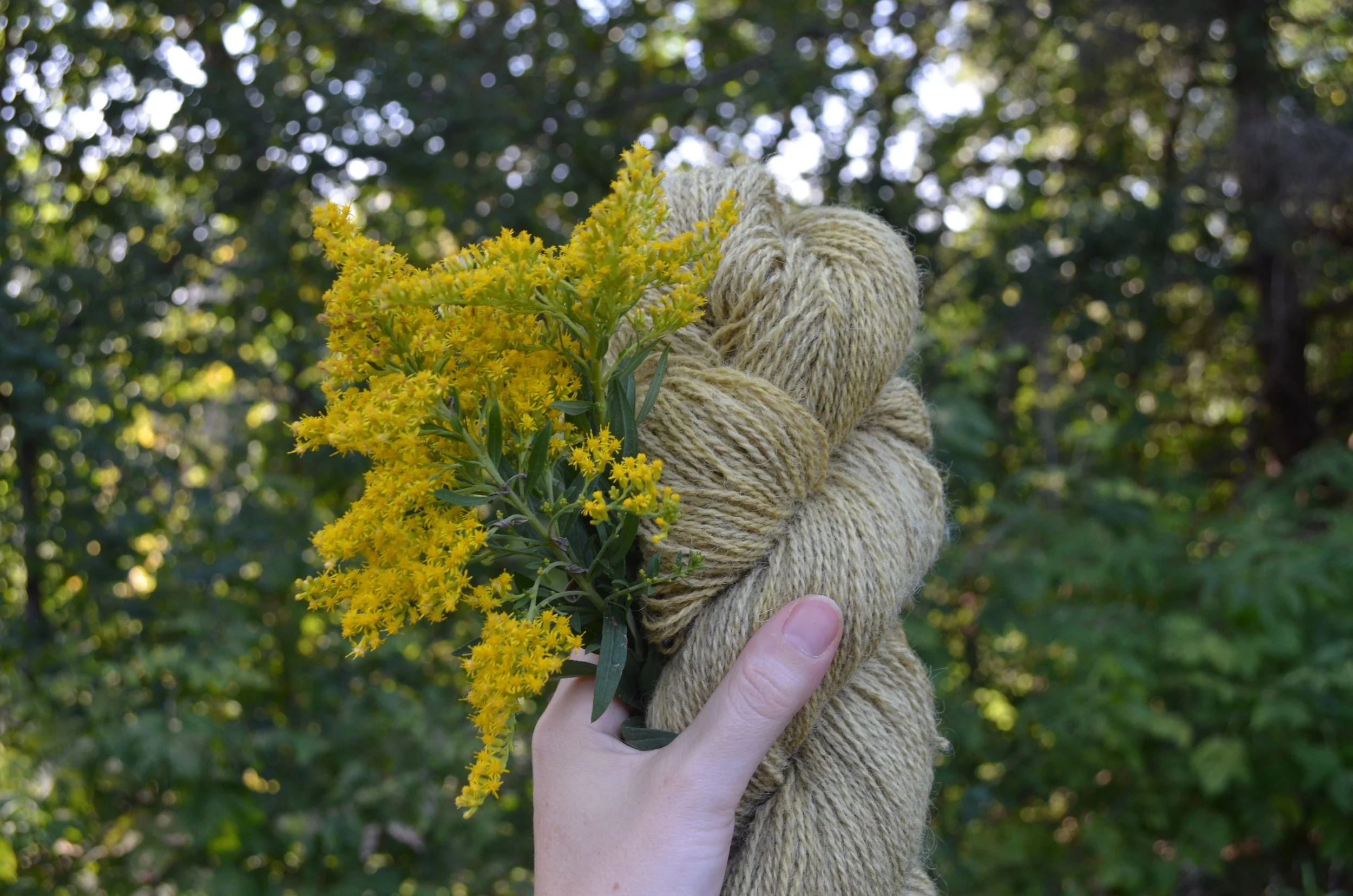 Three Rivers Fibershed Marketplace @ Weavers Guild of Minnesota