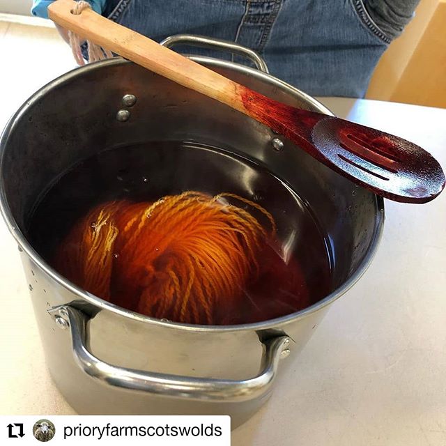 Here is a beautifully captured post of our natural dye class held this past Sunday, led by @awoolenforest with @dresowfamilyfarm . Students learned to dye yarn using Jewelweed, Black Walnuts, and Black-eyed Susans creating a warm &amp; toasty autumn 