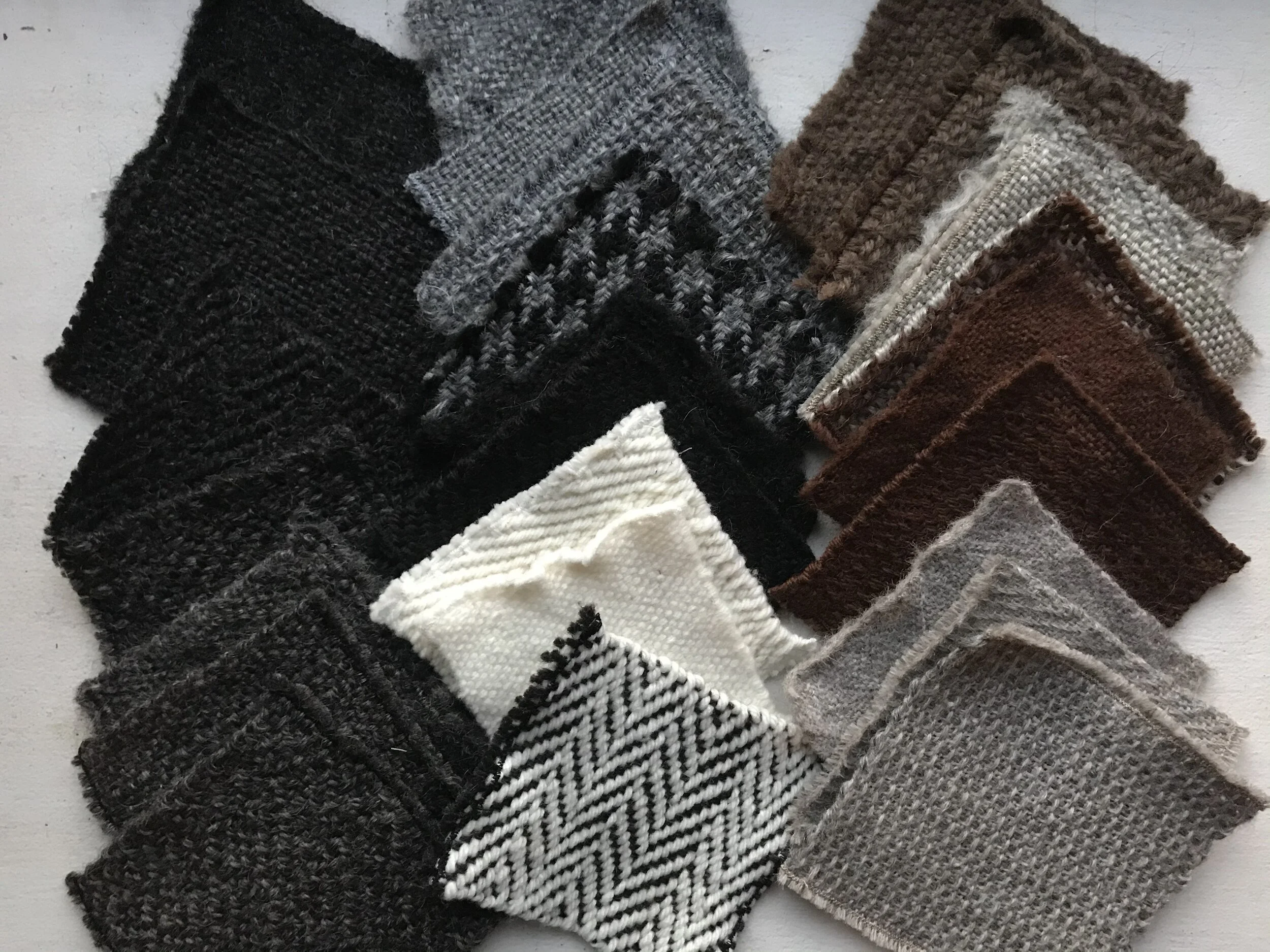 One Year One Outfit Celebration, Regional FIber Resource Book Reveal &amp; Seed Exchange