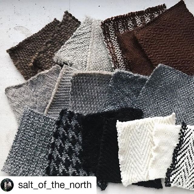 Hey, everyone!! Join us on Sunday February 9th from 10:30-12:30pm for an exciting event!! Full details below! ⬇️ #Repost @salt_of_the_north
&bull; &bull; &bull; &bull; &bull; &bull;
Here&rsquo;s a &ldquo;I post once every three months but generally g