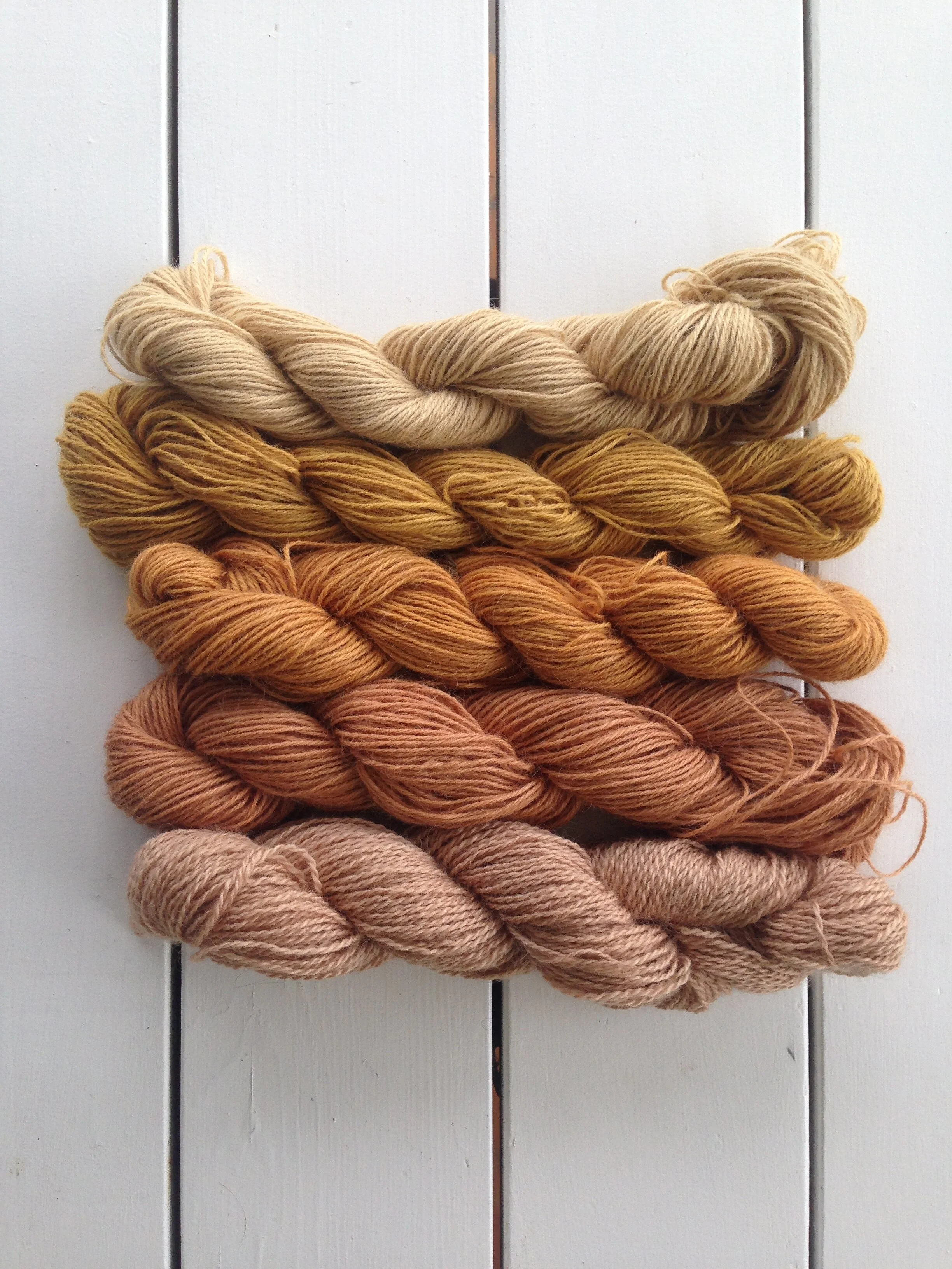 Fiber and Dye Fest 