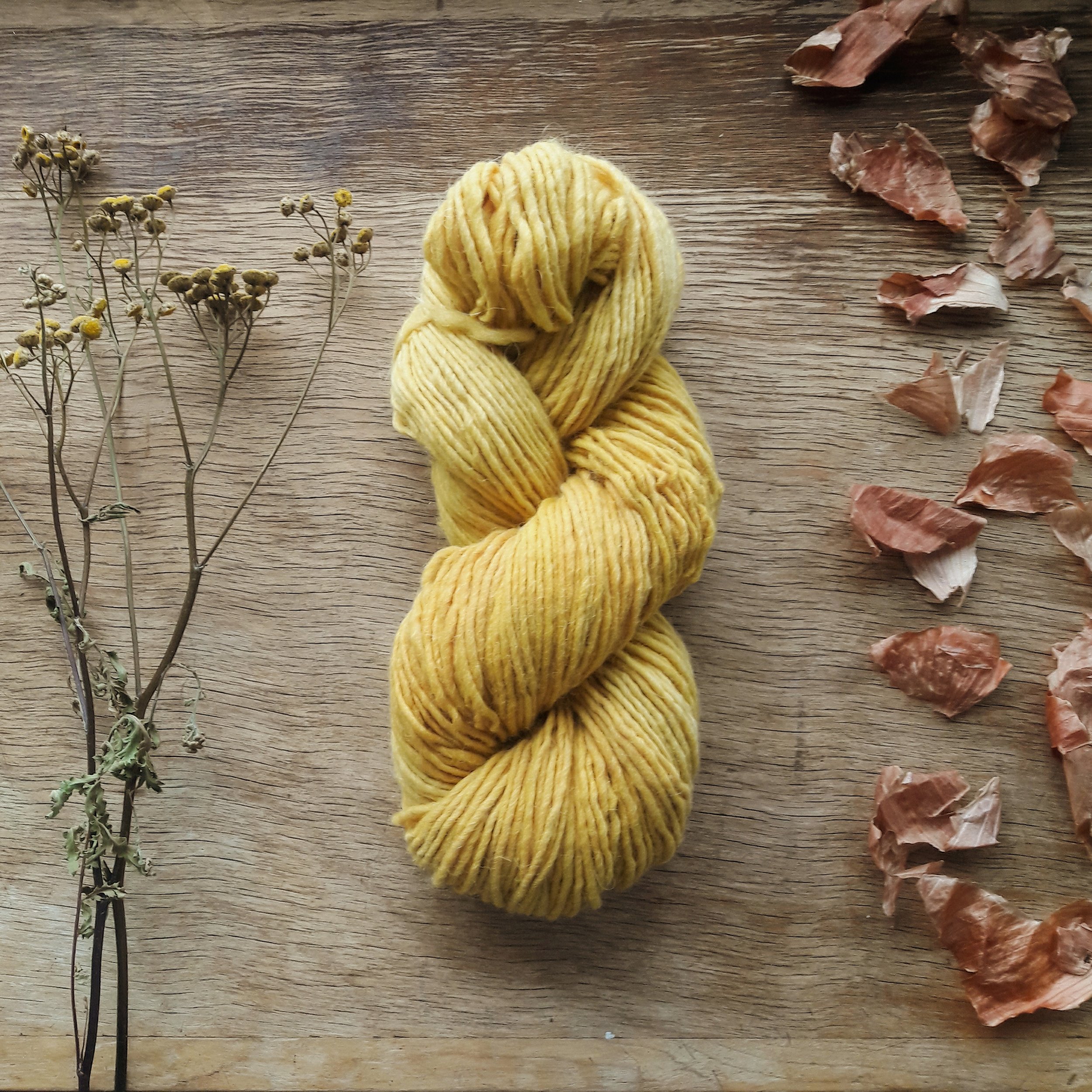 Yarn Dyeing Workshop