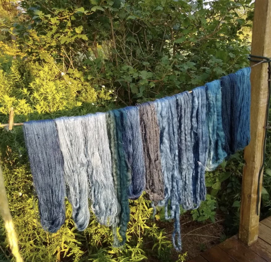 Color from Fresh Leaf Indigo – 4 ways! with Autumn Larch Farm