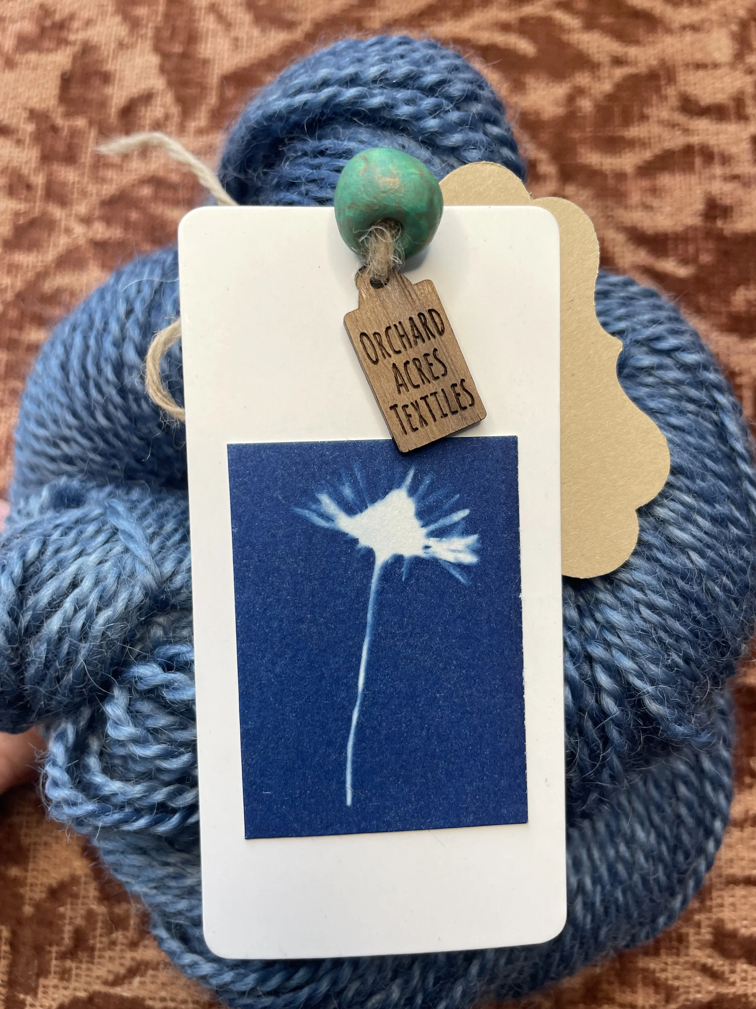 IMG_7295 (1) - Rebecca Diwan.jpeg