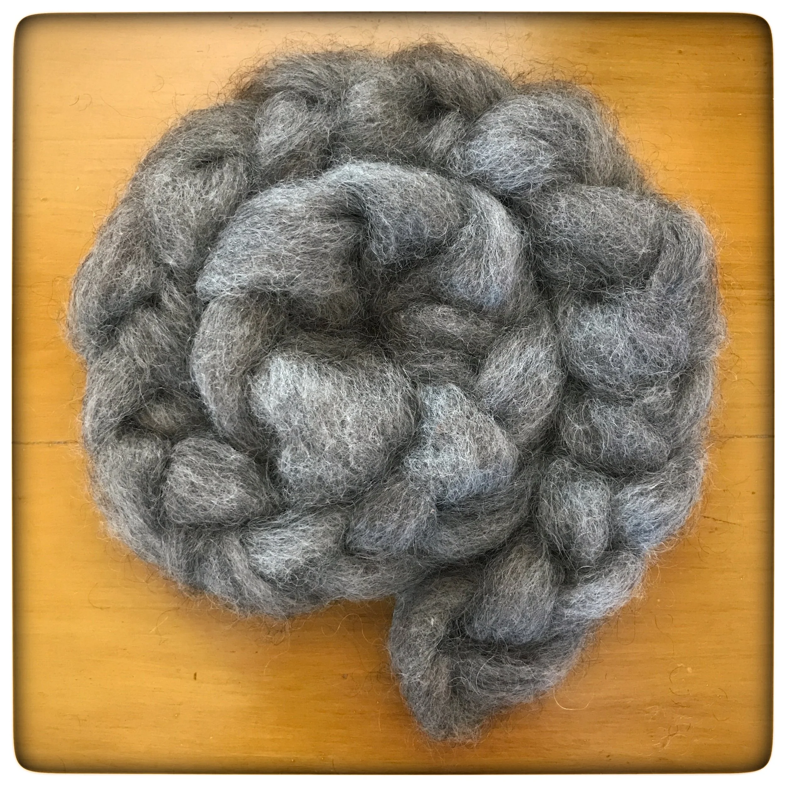 Sock Blend Roving - Namekagon Valley Farm & Studio.jpg