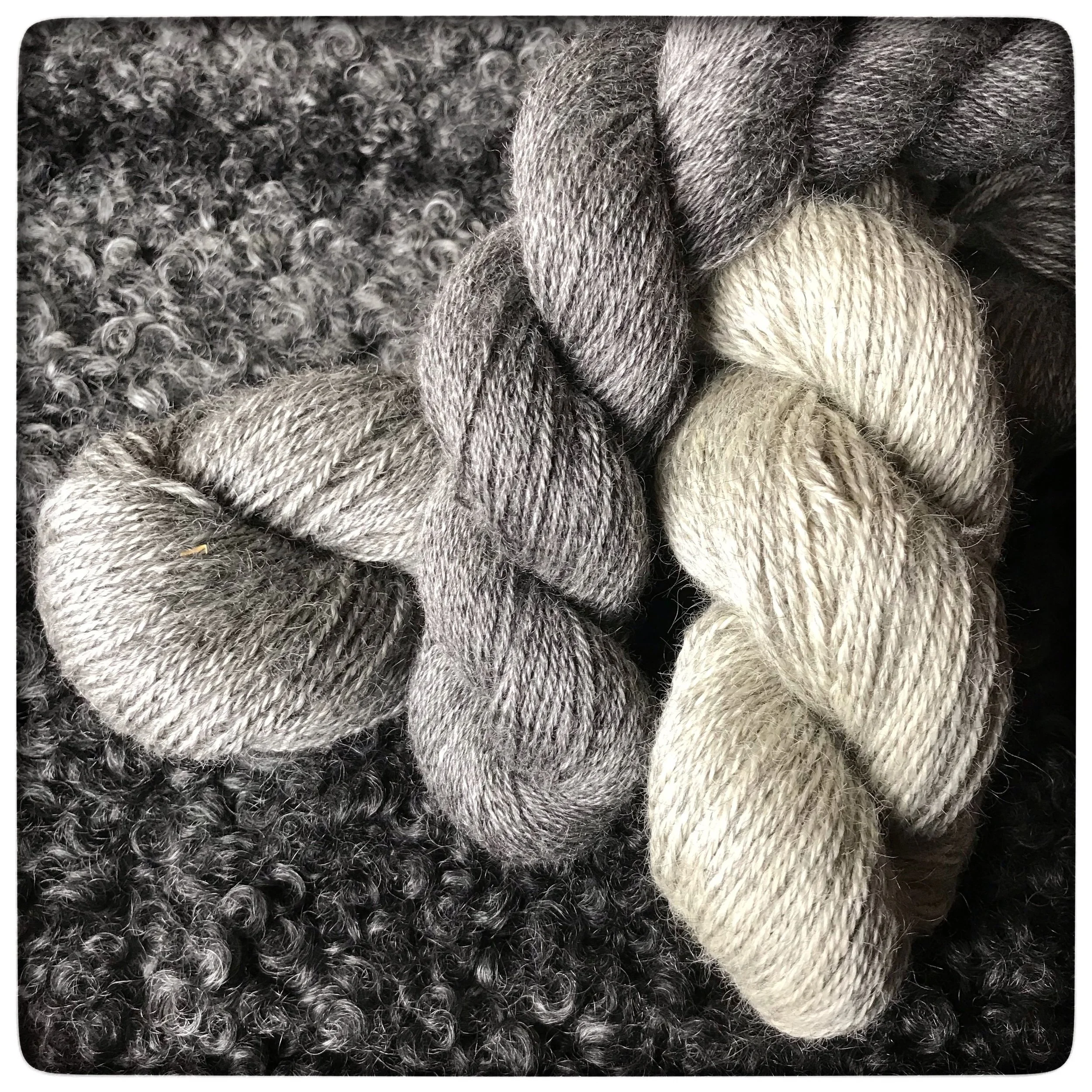 WorstedwithFingering - Namekagon Valley Farm & Studio.jpg
