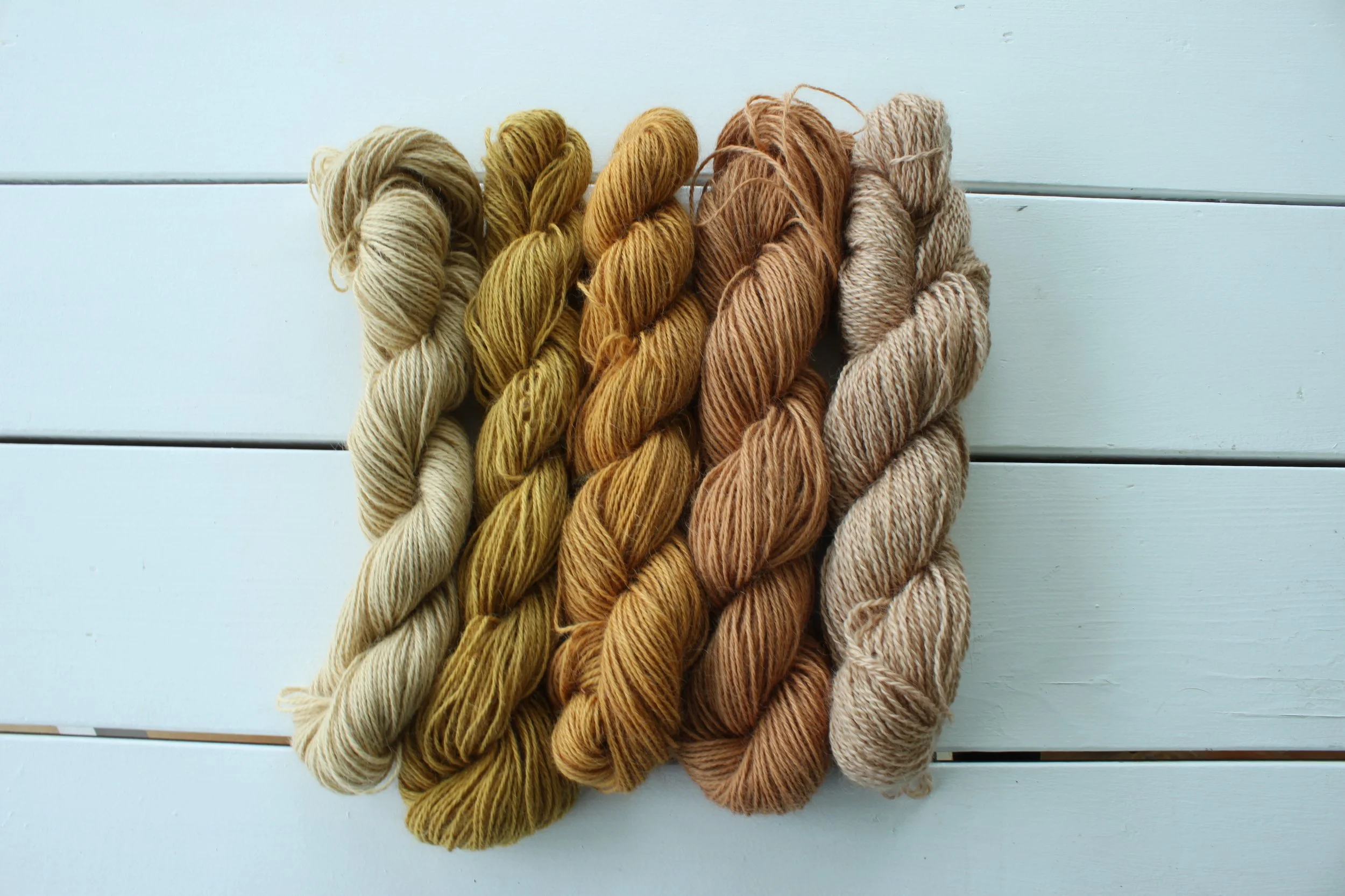 Naturally Dyed Skeins from Holly Ridge Farm (Bartsch) .jpeg