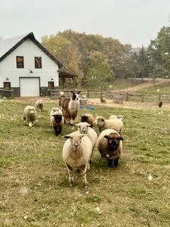 Spin Circle @ Nash Lake Fiber Farm