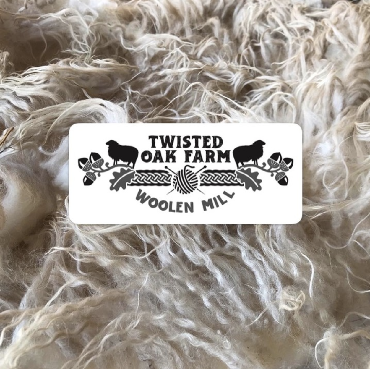 Fiber on the Farm @ Twisted Oak Farm