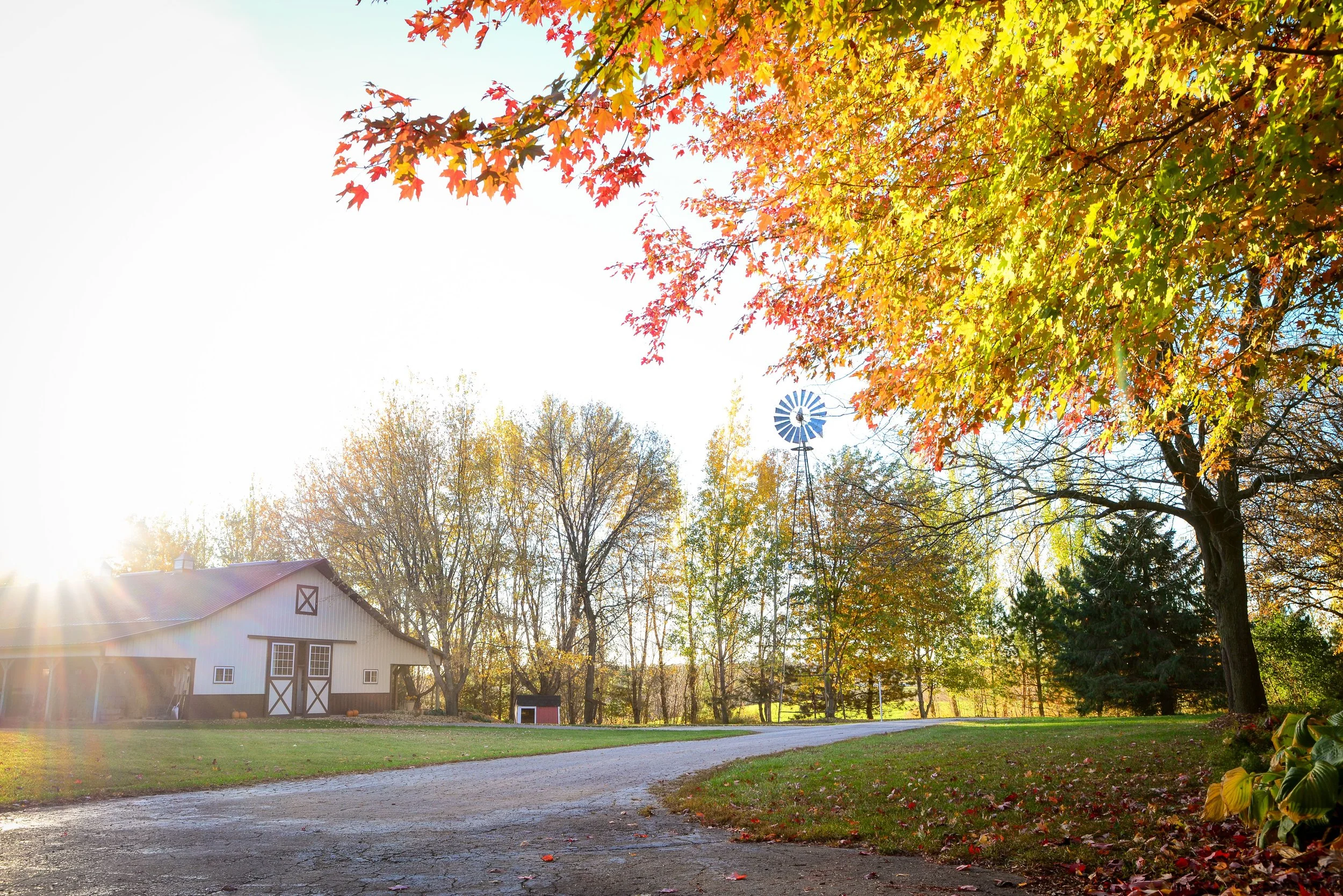 Harvest Fiber Festival @ Harvest Hill Acres