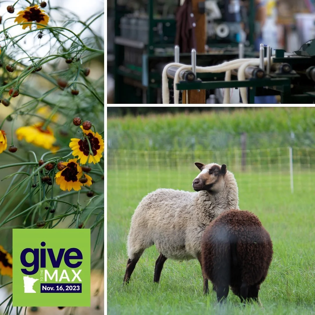 Early giving has already begun for Give to the Max Day on Thursday!

The Three Rivers Fibershed relies on a small but mighty board of directors and an expanding network of volunteers and contractors. Your support this Give to the Max Day will help us