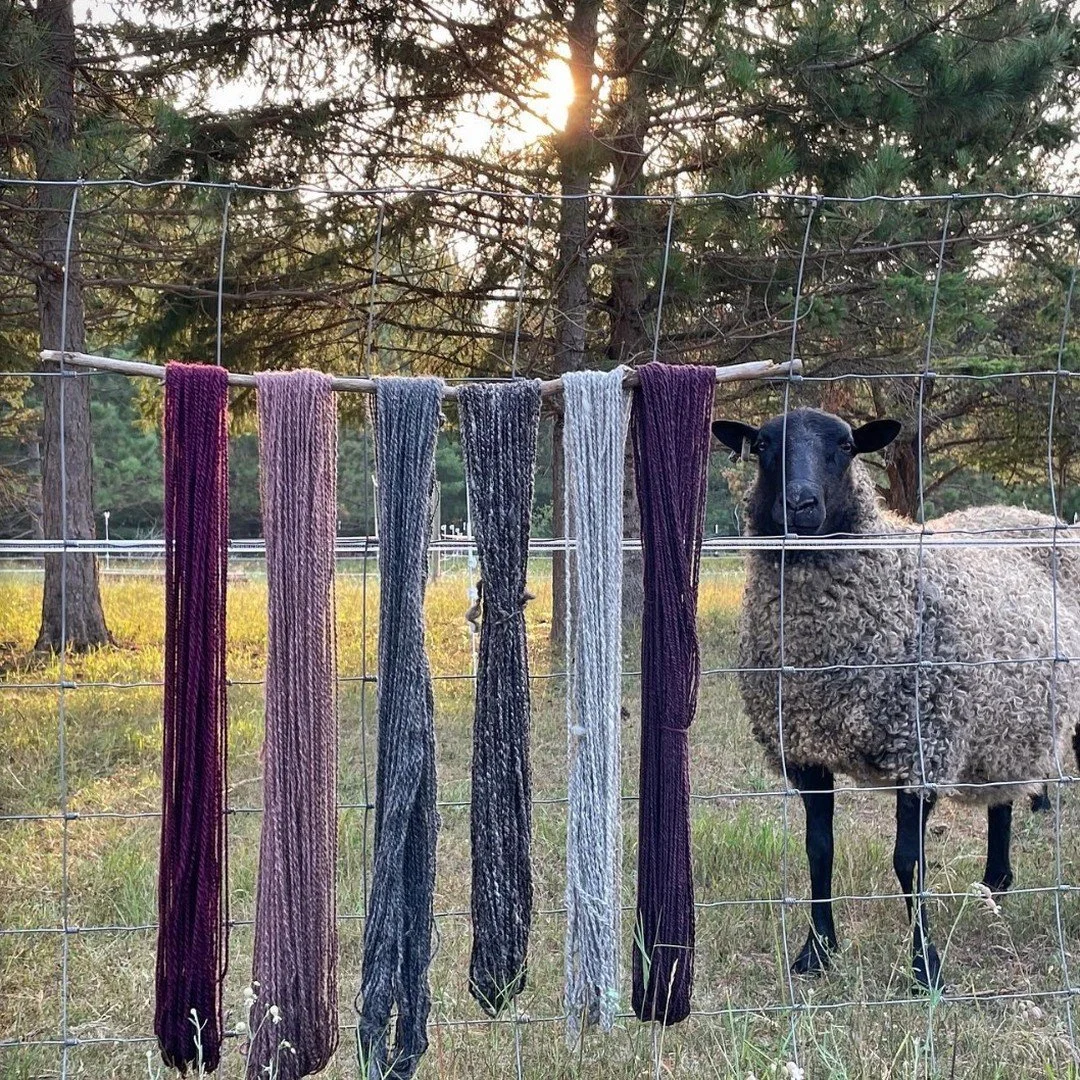 From Kelly over @namekagonvalley : Hand spun fiber magic ✨
Several of these skeins found their way from #sheeptoshawl for my @threeriversfibershed project. I&rsquo;m finishing it up, weaving in ends and learning how to block 🤓 and then I&rsquo;ll sh