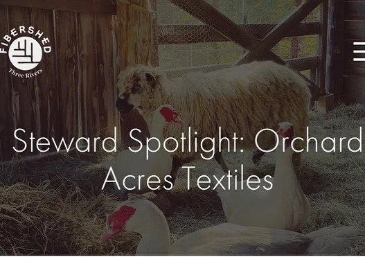 Orchard Acres Textiles raises Teeswater sheep and Cashmere goats near Rochester, MN. Learn more about their farm and fiber products in our latest Steward Spotlight up on our blog! 🐑🧶