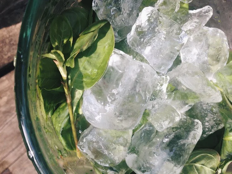 Hands-on Indigo &amp; Woad Class