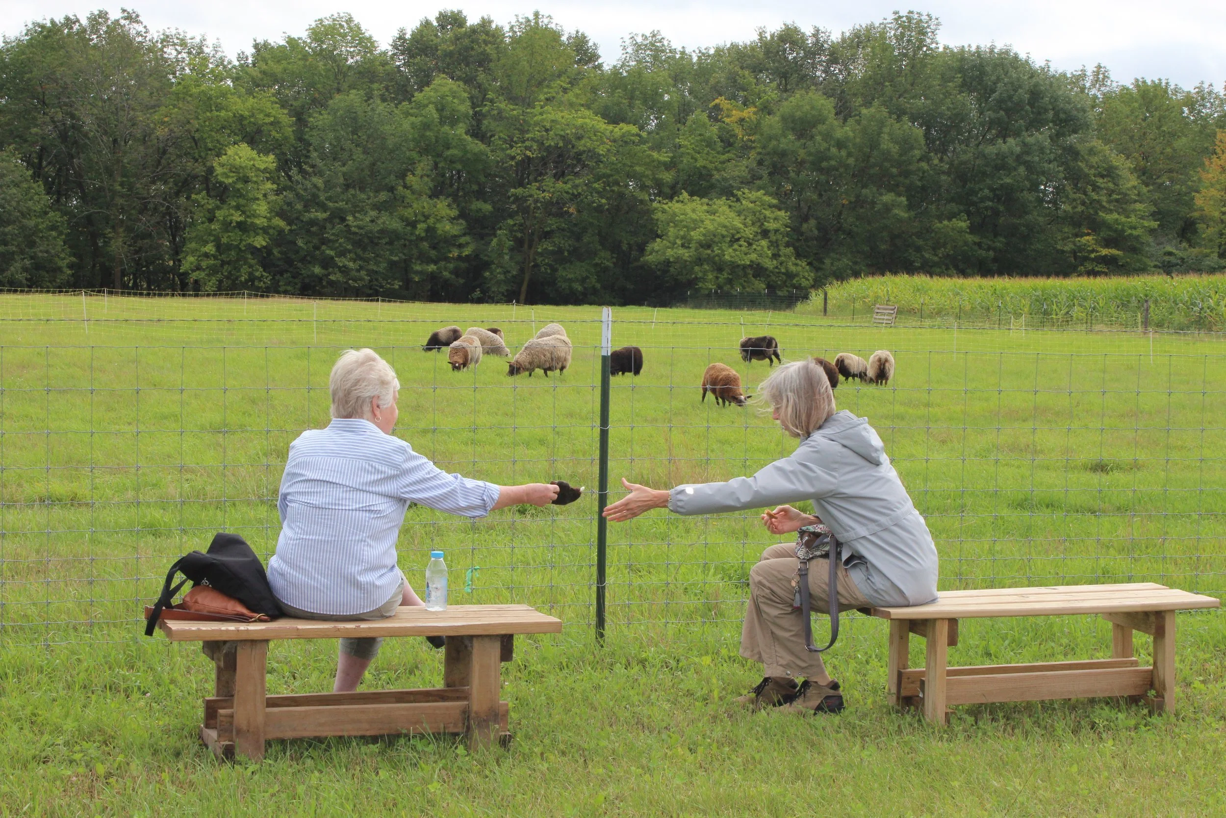 Three Rivers Fibershed Blog — Three Rivers Fibershed
