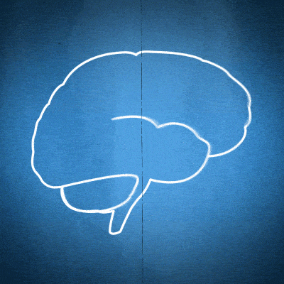 brain-loop.gif