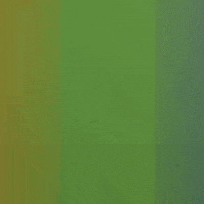 MD-loop.gif