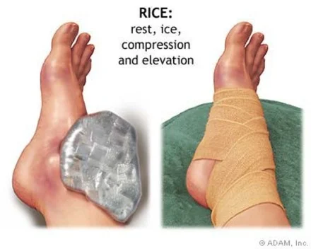 RICE.jpg