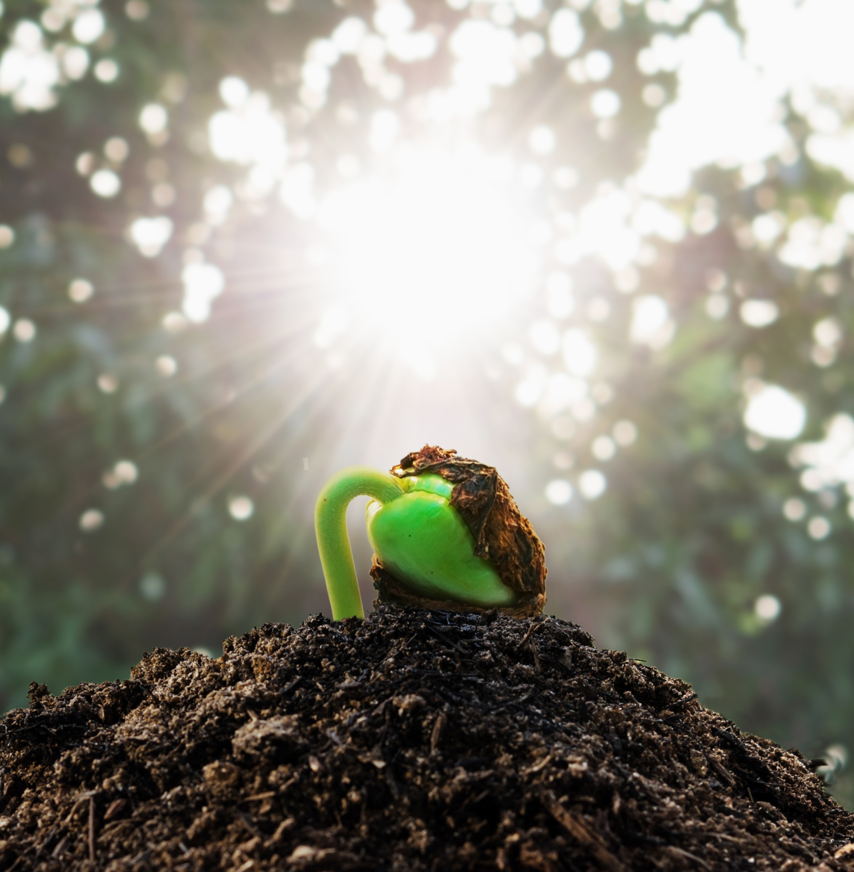 Photo by lovelyday12/iStock / Getty Images