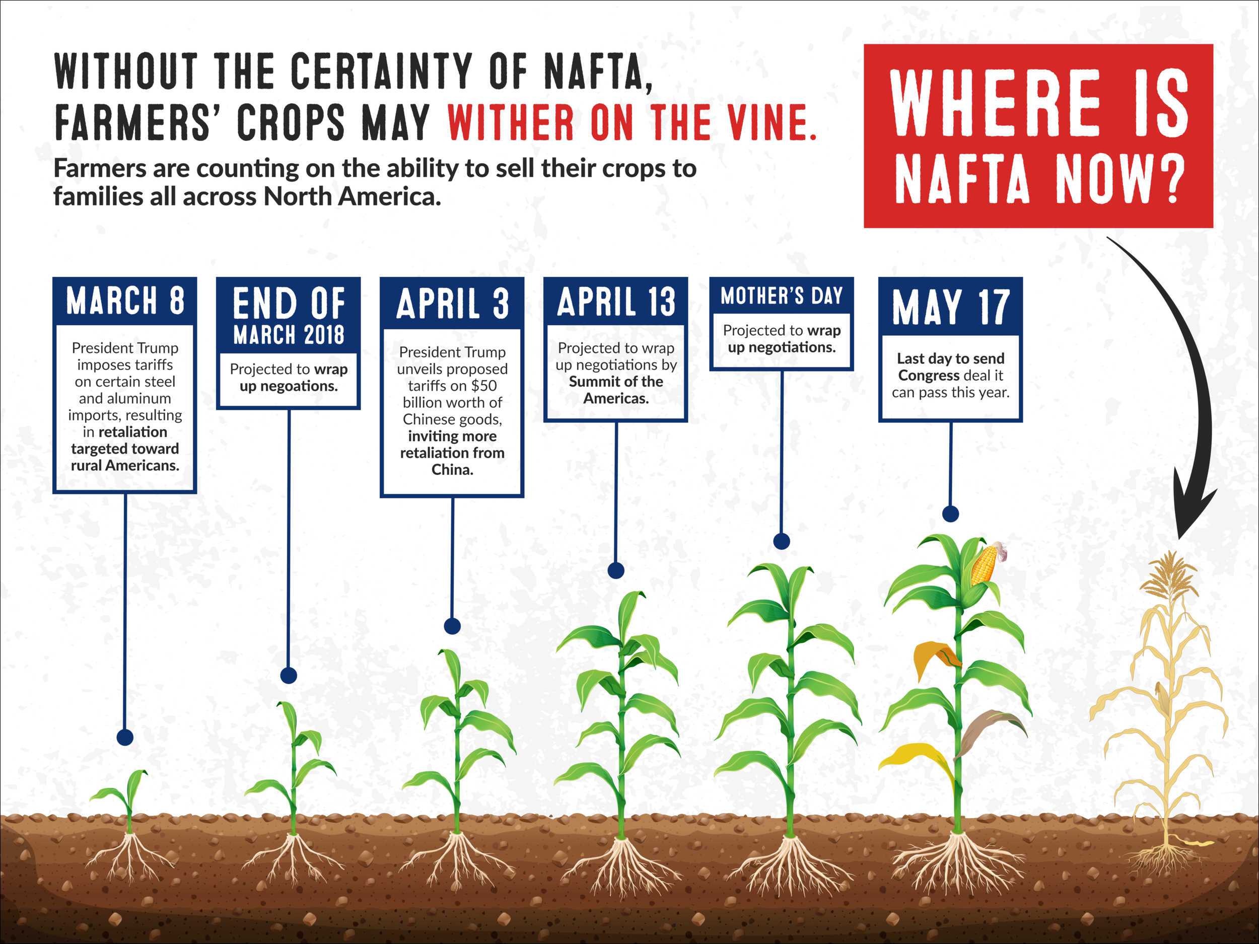 AFF-Timeline-Infographic.png