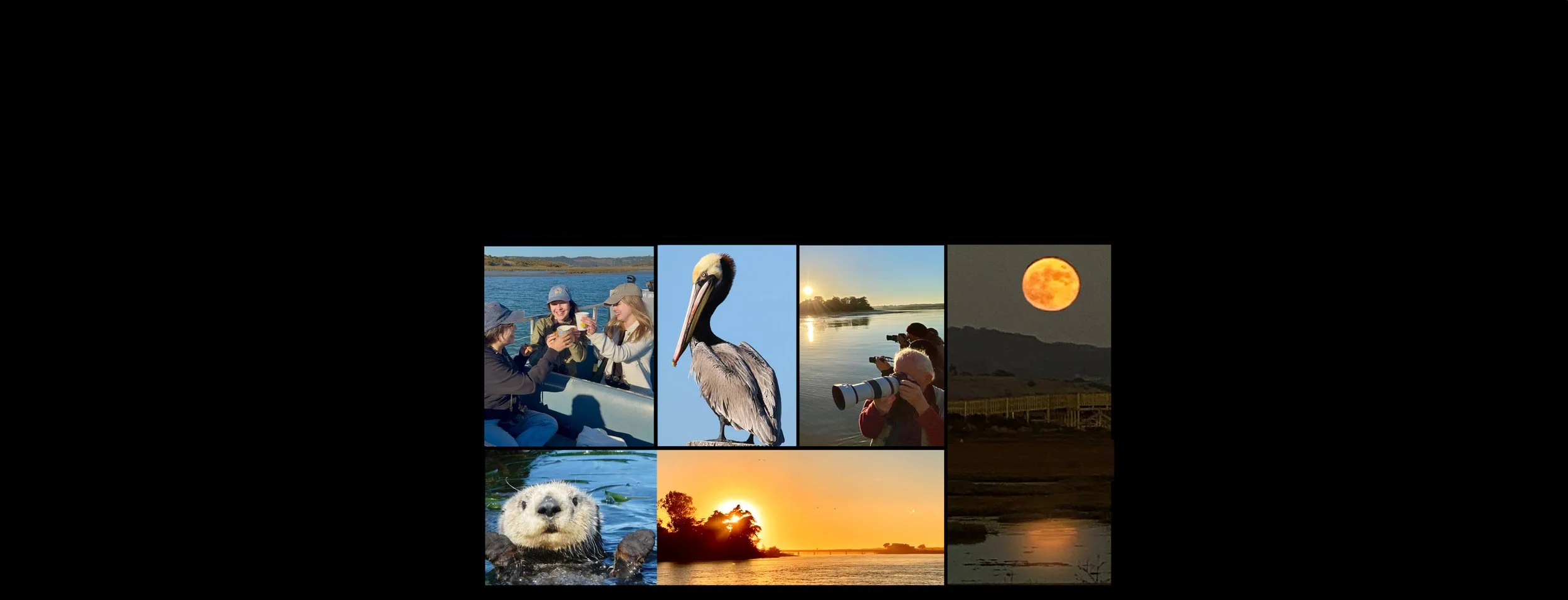 Fall 2026 Specialty Tours_banner.jpg