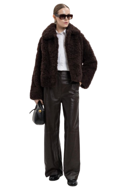 Screenshot_2026-01-10_at_1.25.37_PM-removebg-preview (1).png