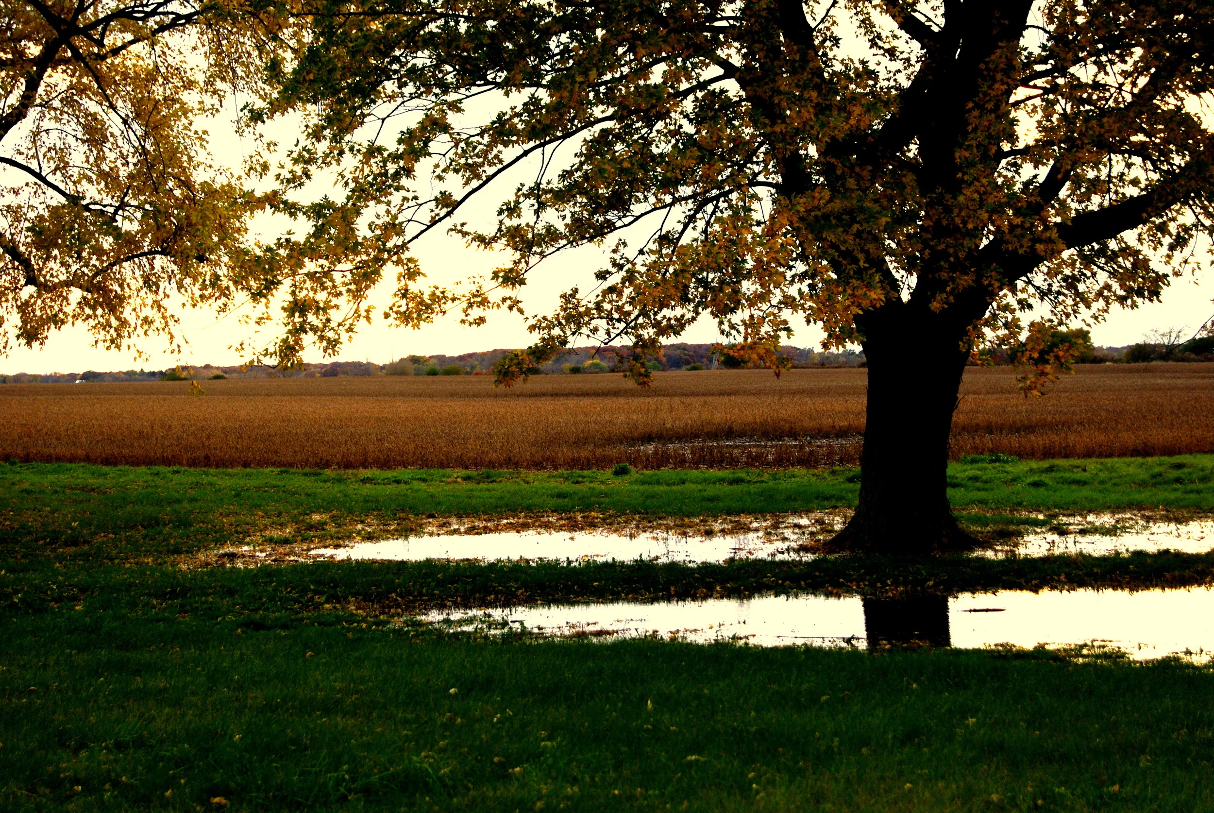 Crete, IL. 2009