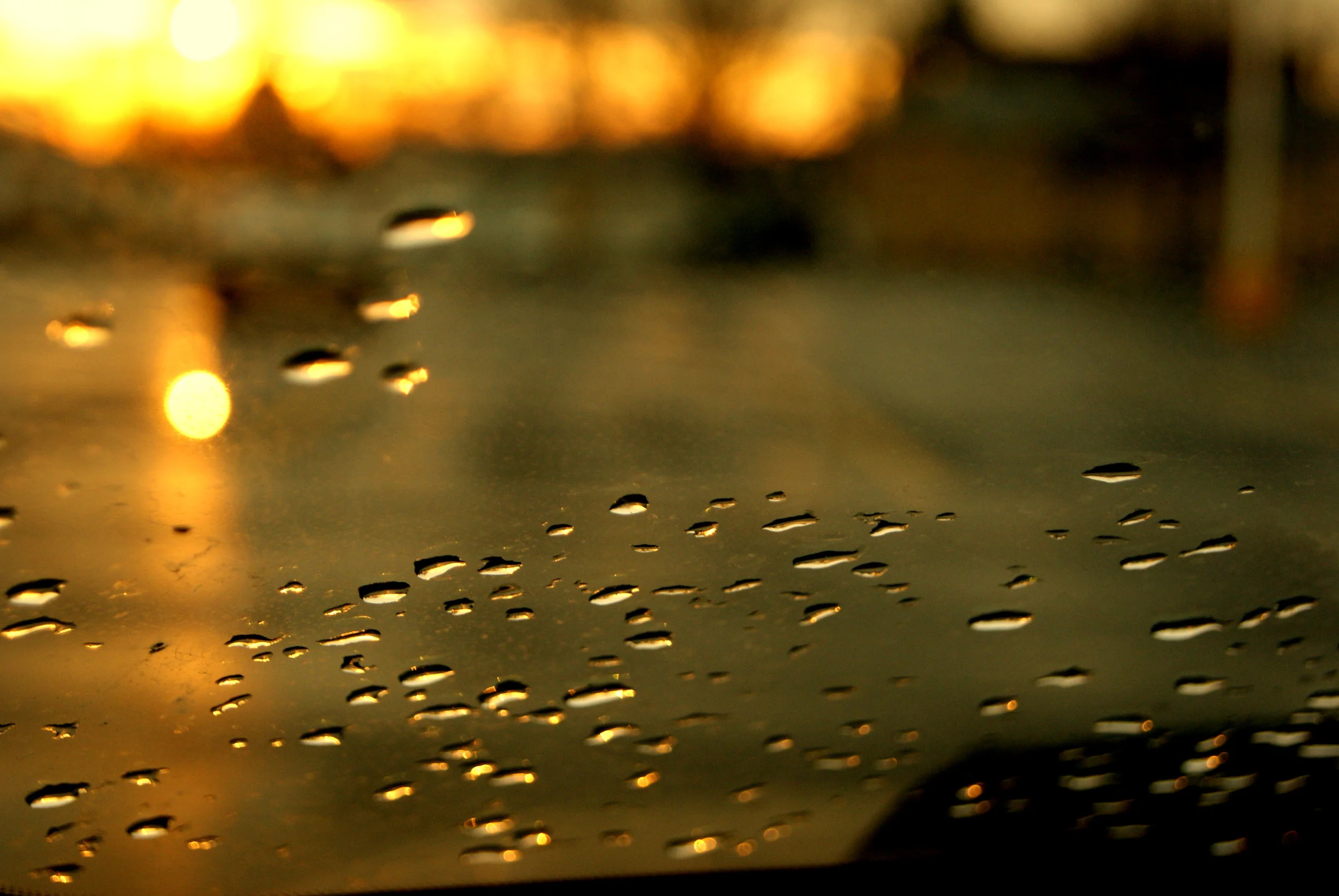 Raindrops, 2010.