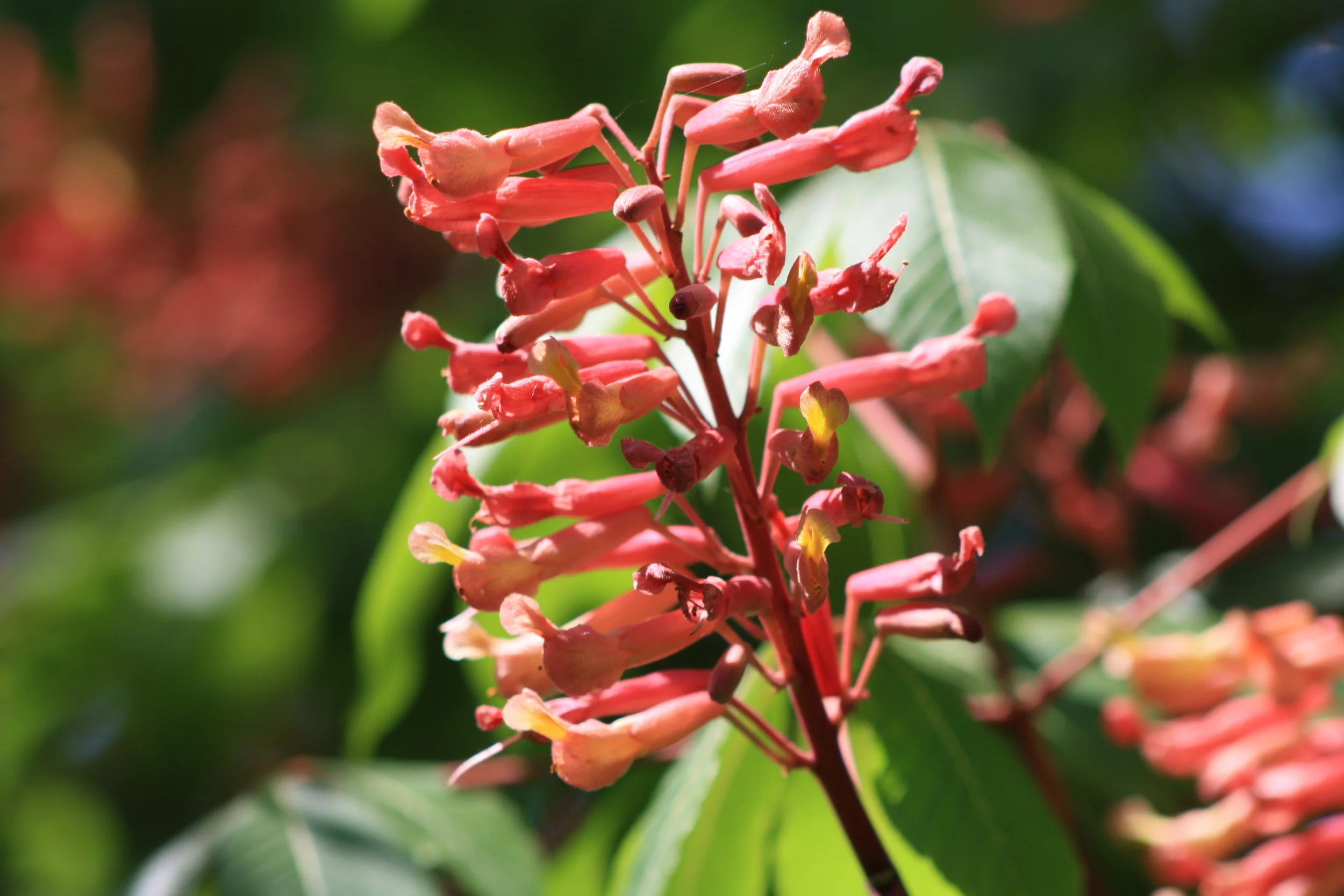 Lake Katherine, 2016.