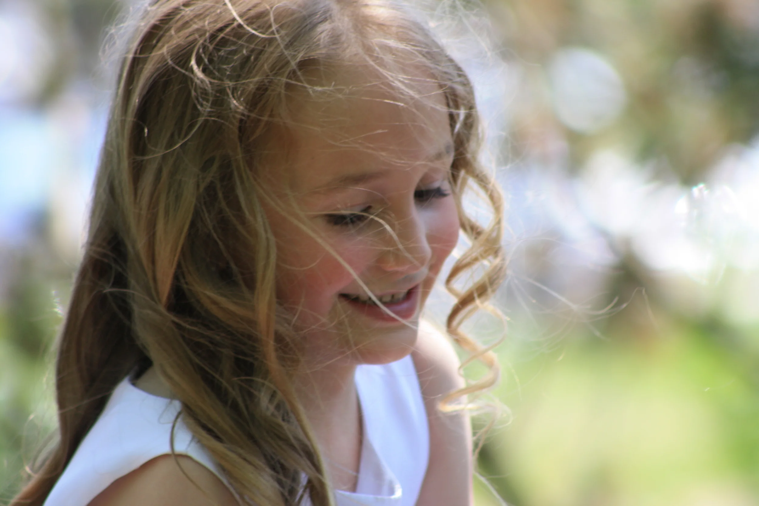 Lake Katherine, 2016.