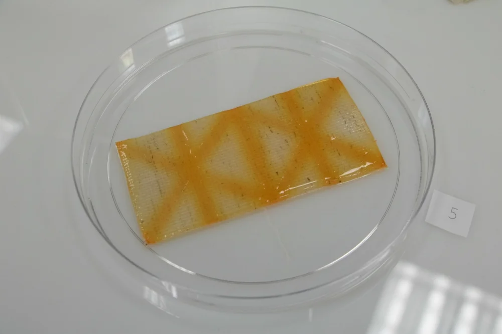 Bi-stable Biofilms