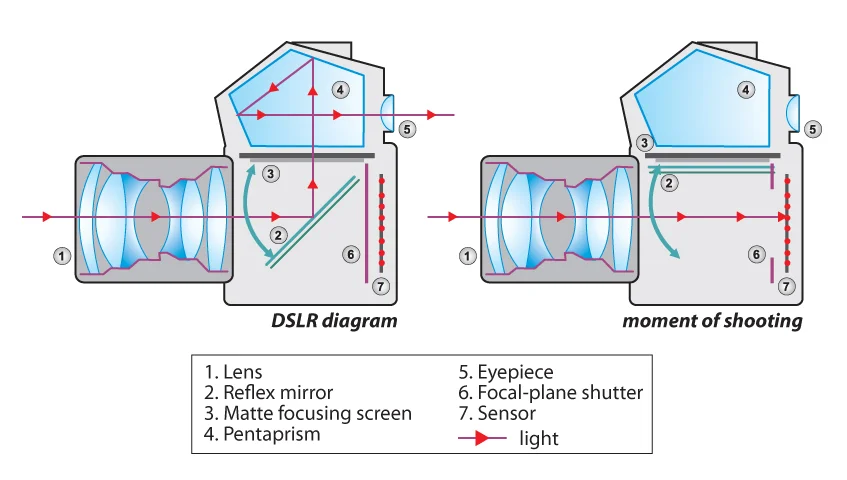 Photography Crash Course : Chapter 1 - How A Camera Works - Stephanie ...