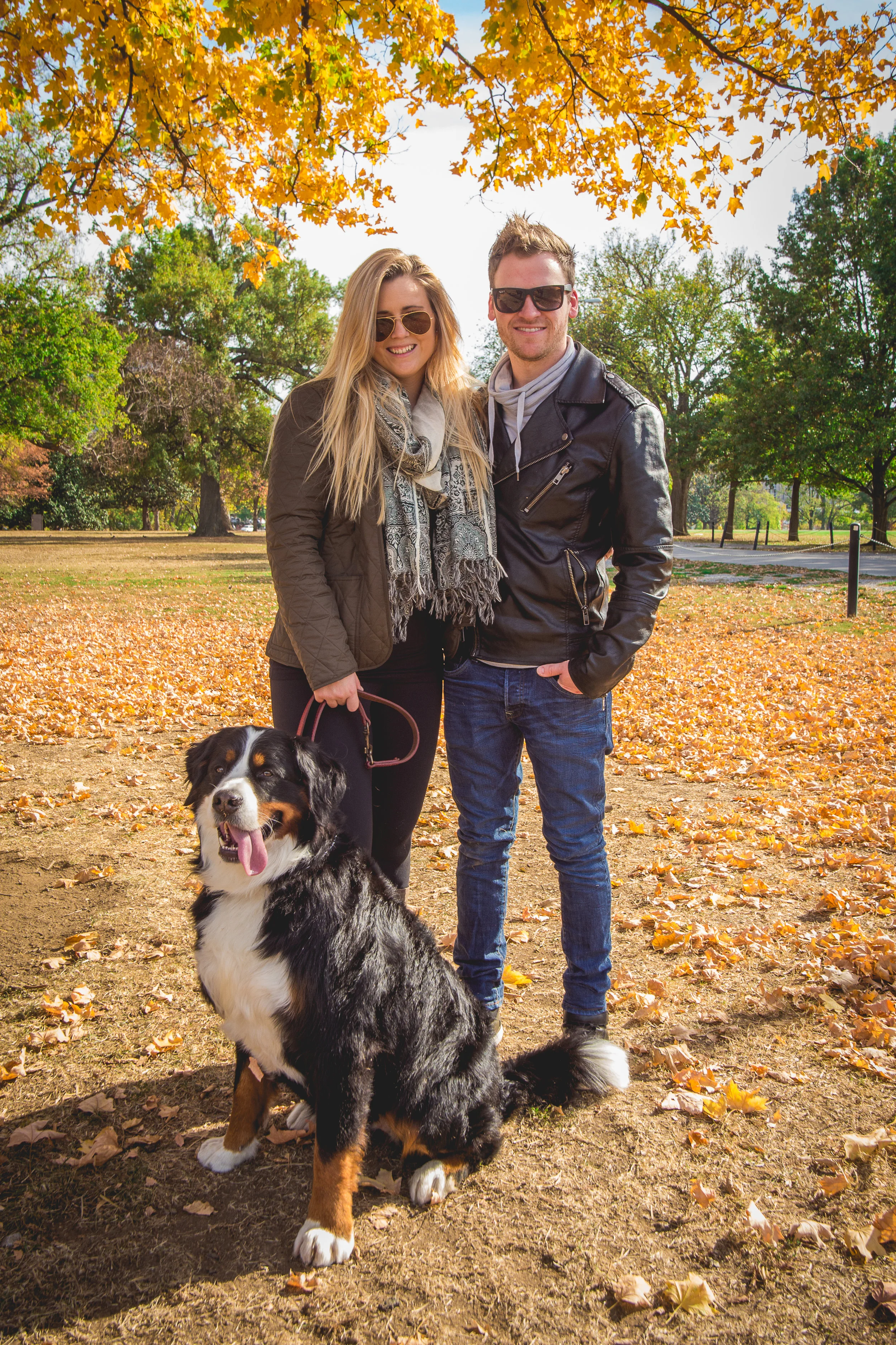 Fall Family Mini-Sessions