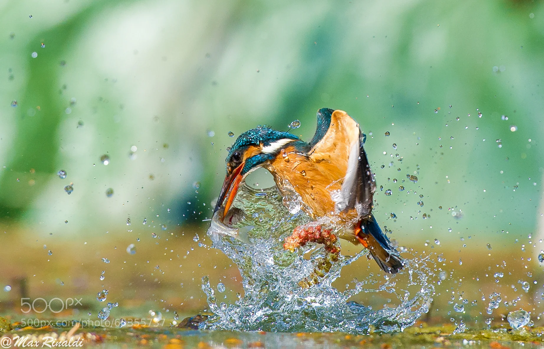 stock-photo-65355737.jpg