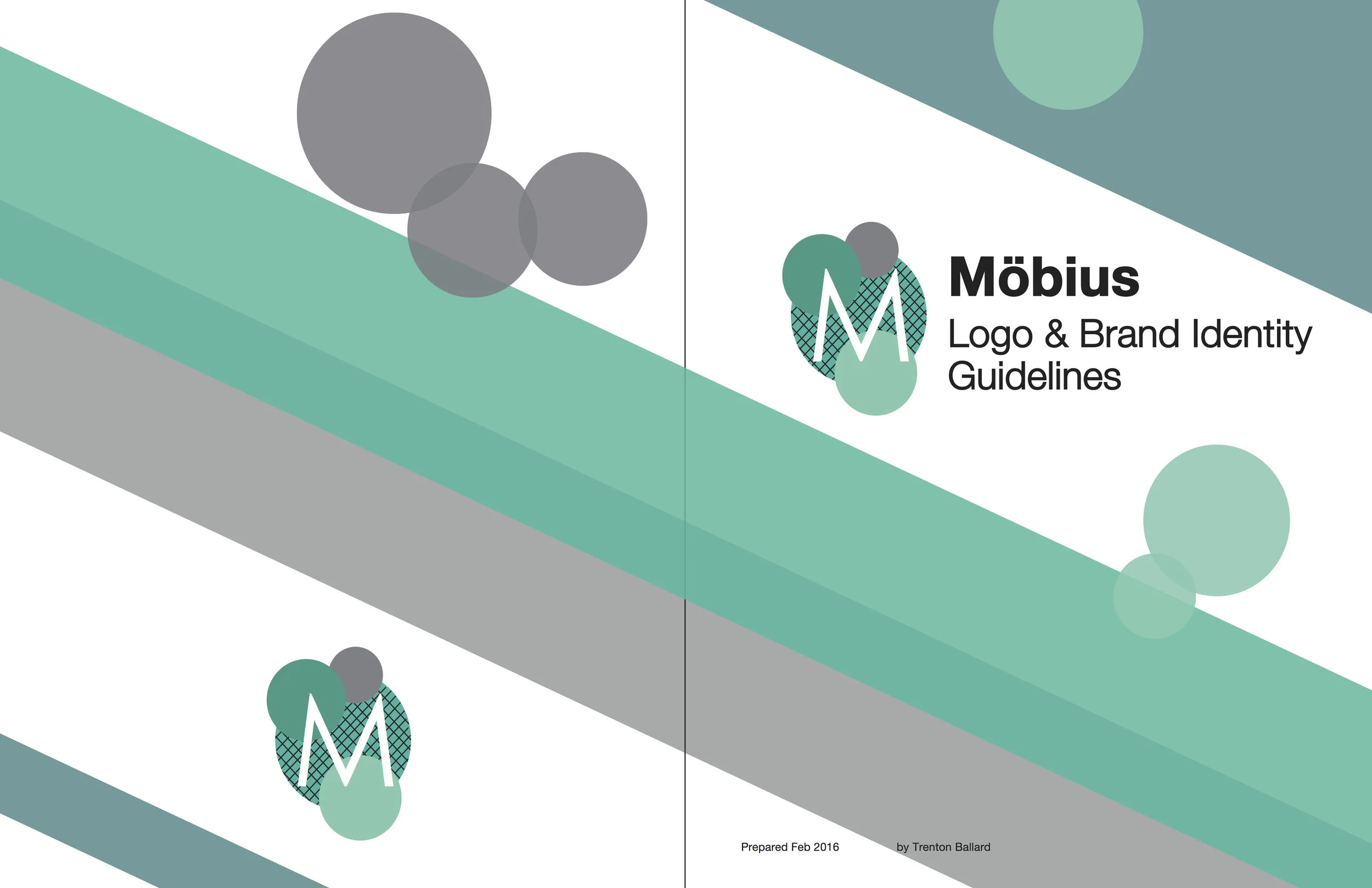 Logo and Brand Identity Guidelines Template Trent Ballard.jpg