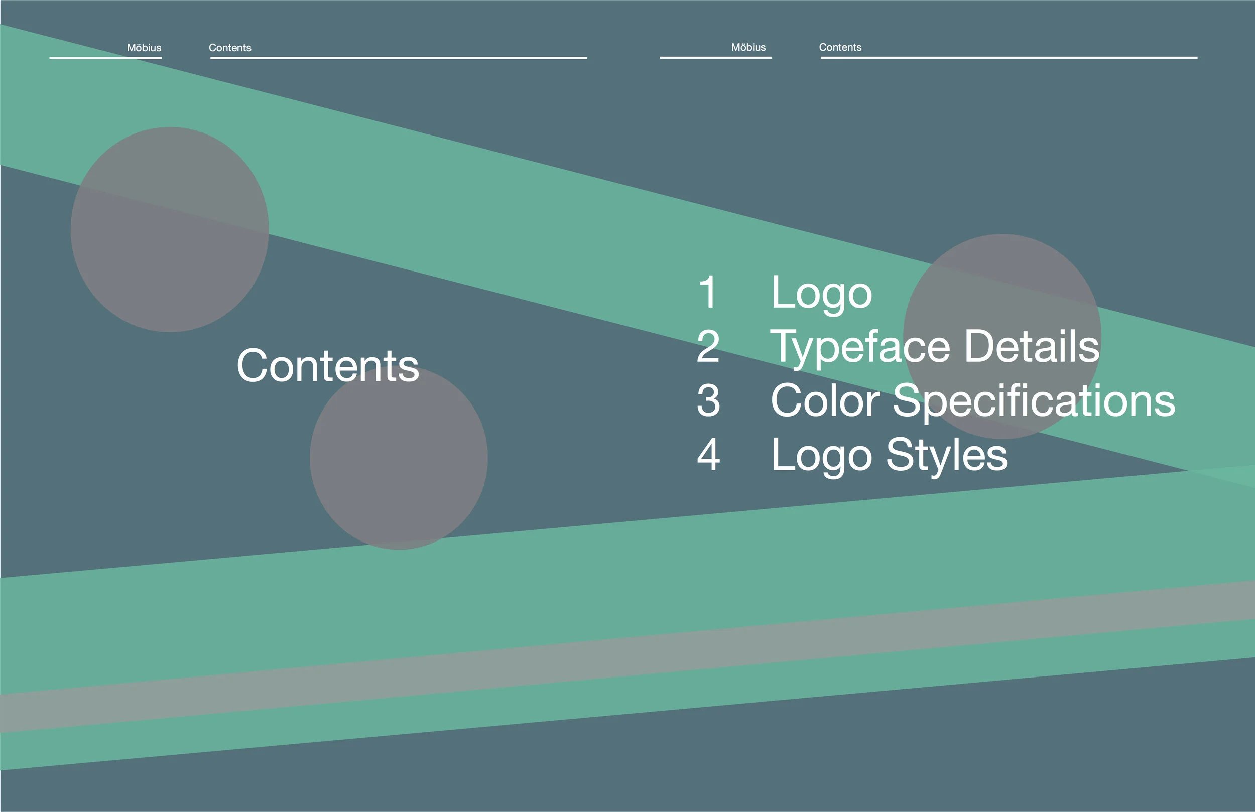 Logo and Brand Identity Guidelines Template Trent Ballard2.jpg