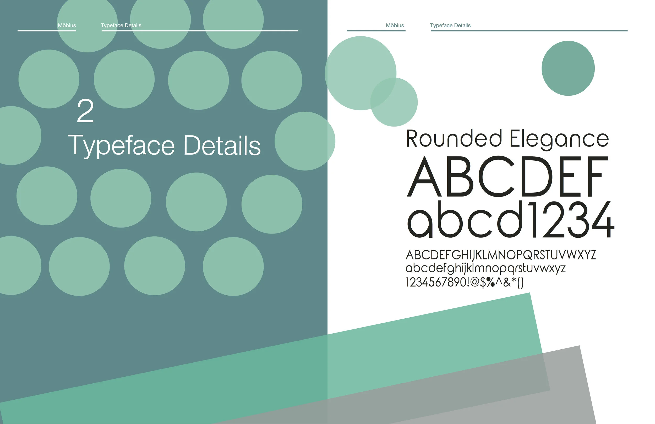 Logo and Brand Identity Guidelines Template Trent Ballard4.jpg