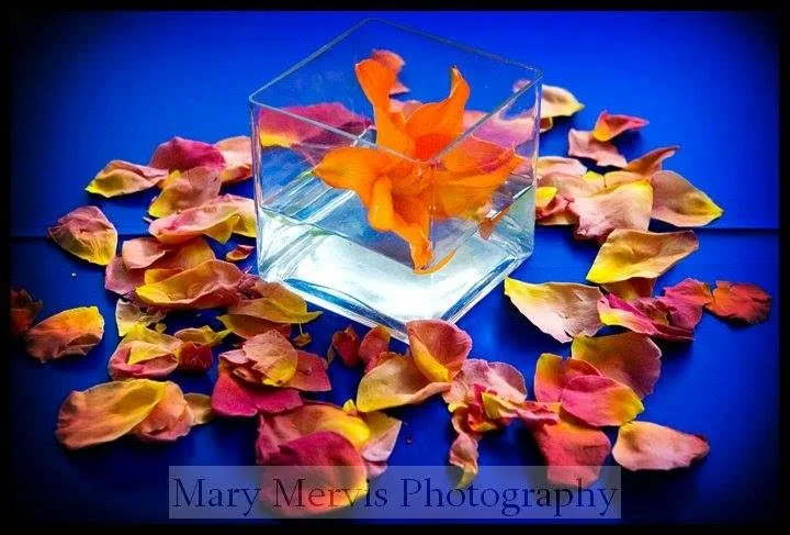 pa-pittsburgh-wedding-flowers-9.jpg