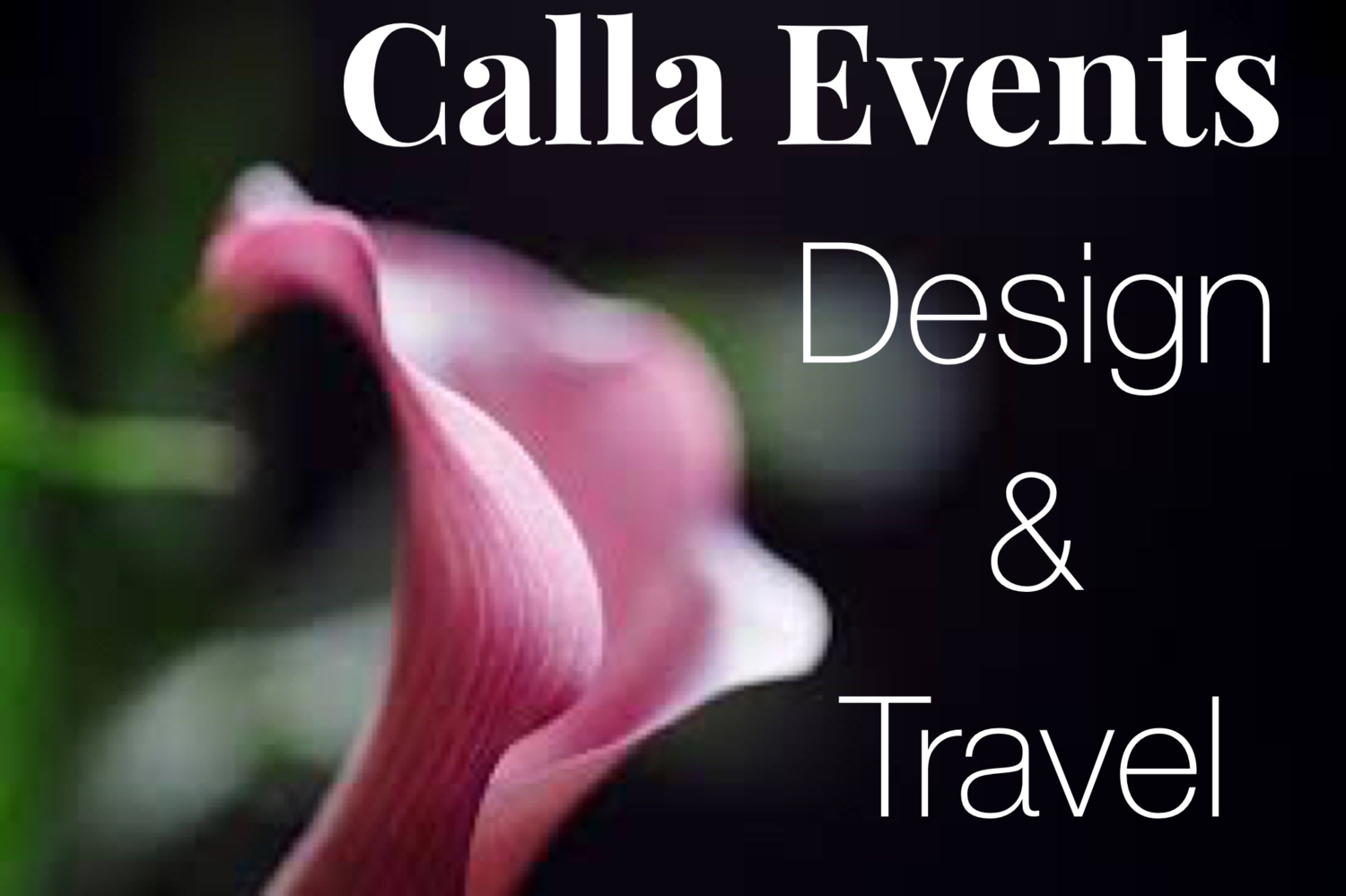 Calla Events, Design, & Travel - Wedding Planner Pittsburgh