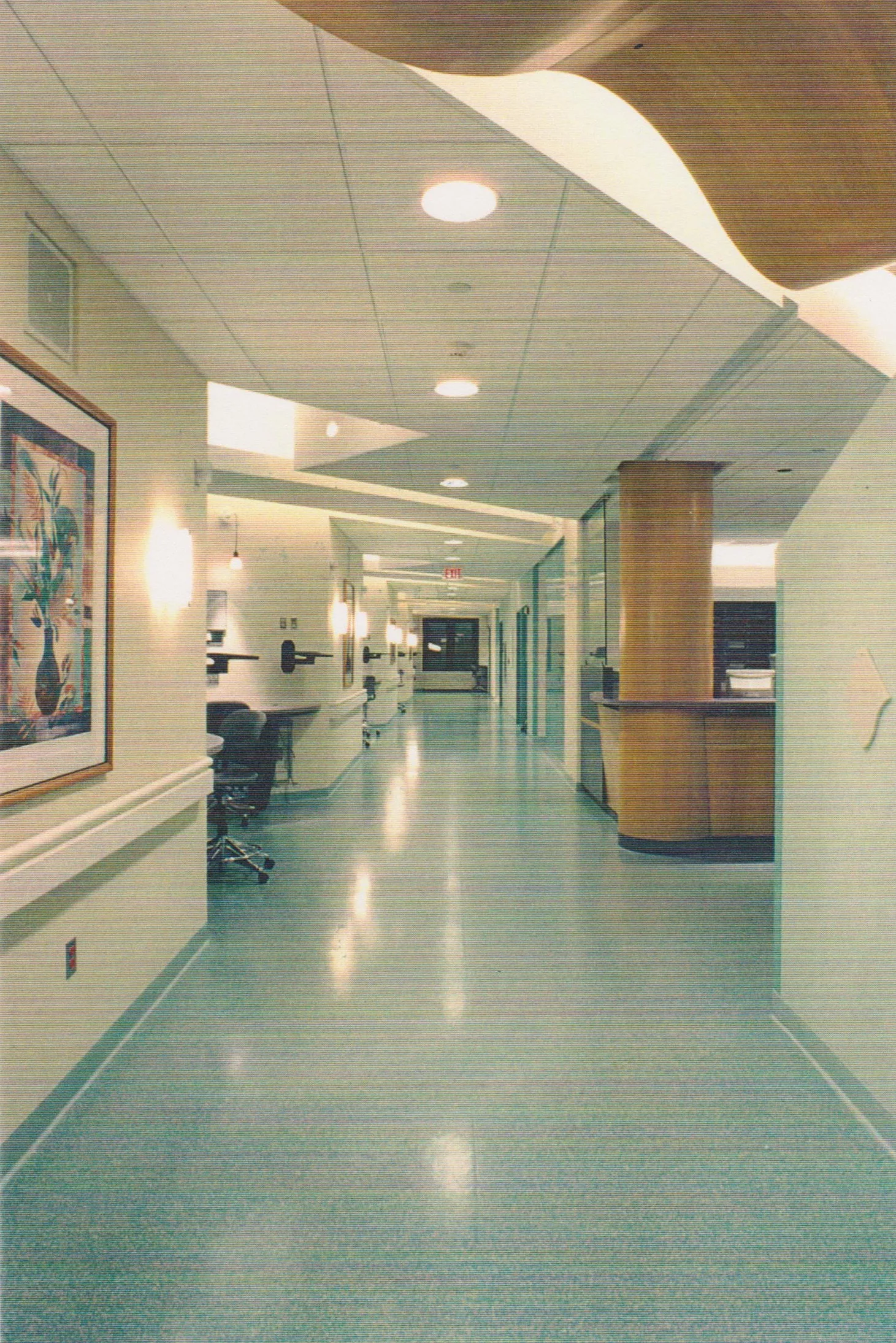 Bone Marrow Transplant_DMC 01 CROPPED.jpg