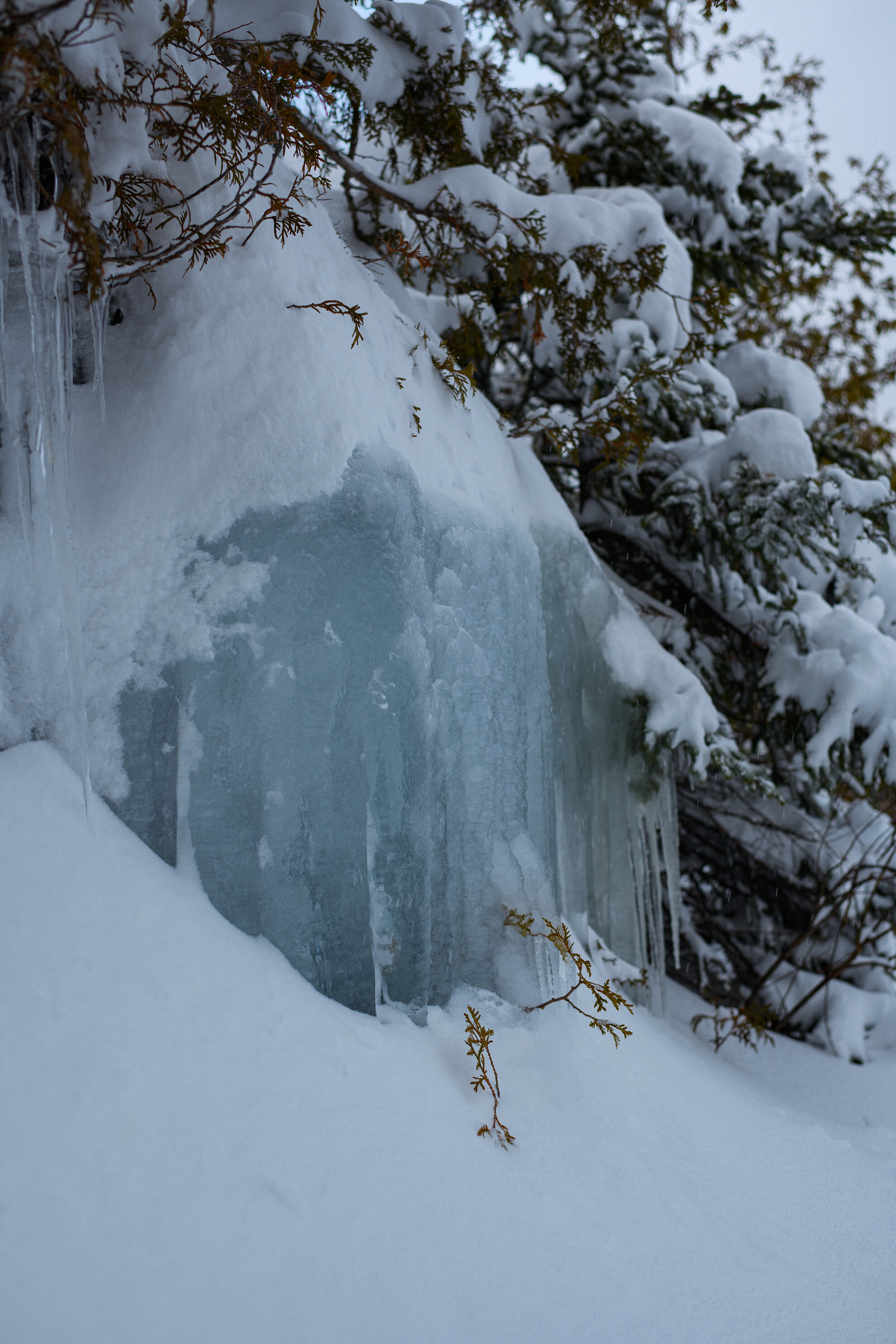 Untitled II Vertical - ADK Winter Series, 2021