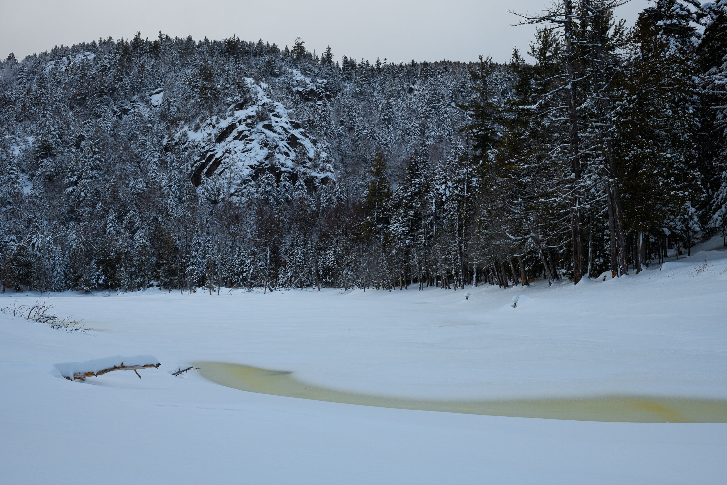 Giant's Washbowl - ADK Winter Series, 2021